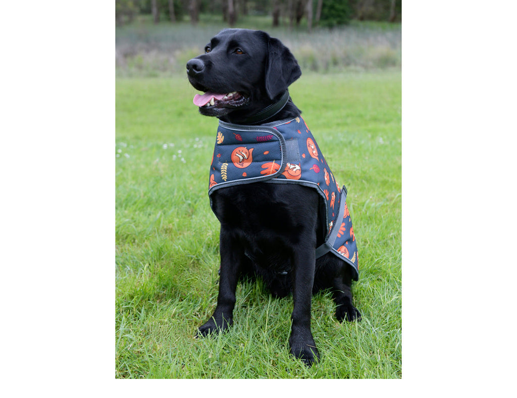 WeatherBeeta ComFiTec Premier Free Parka Dog Coat Medium