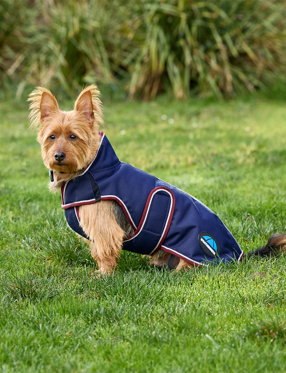 WeatherBeeta ComFiTec Premier Deluxe Waterproof Dog Coat