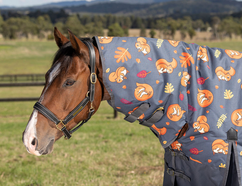 WeatherBeeta ComFiTec Essential Combo Neck Medium