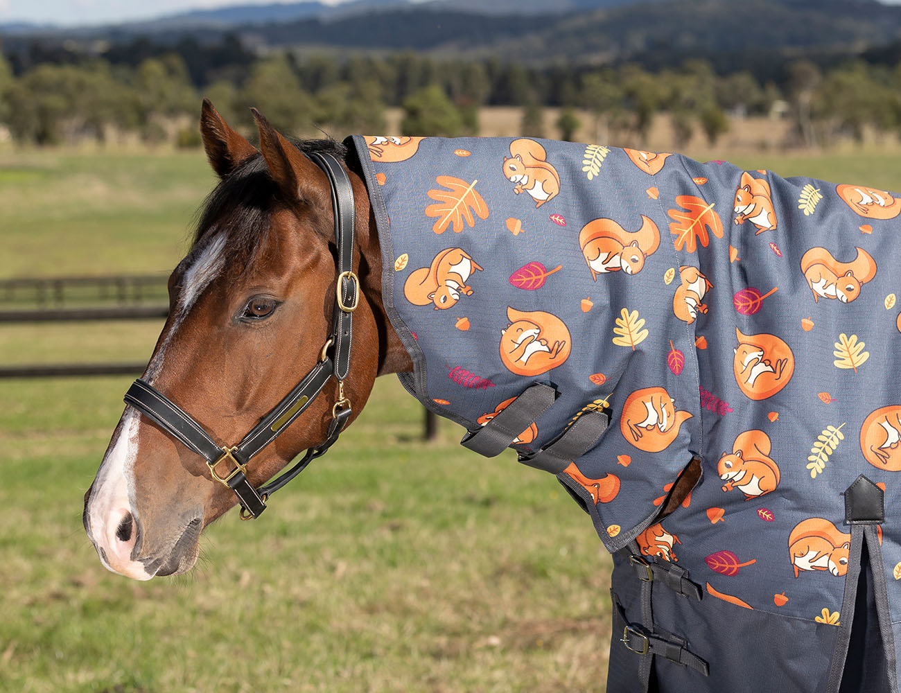 WeatherBeeta ComFiTec Essential Combo Neck Medium