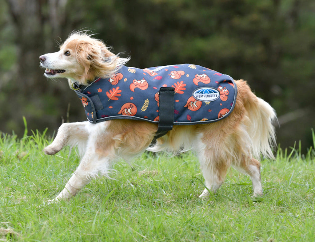 WeatherBeeta ComFiTec Premier Free Parka Dog Coat Medium
