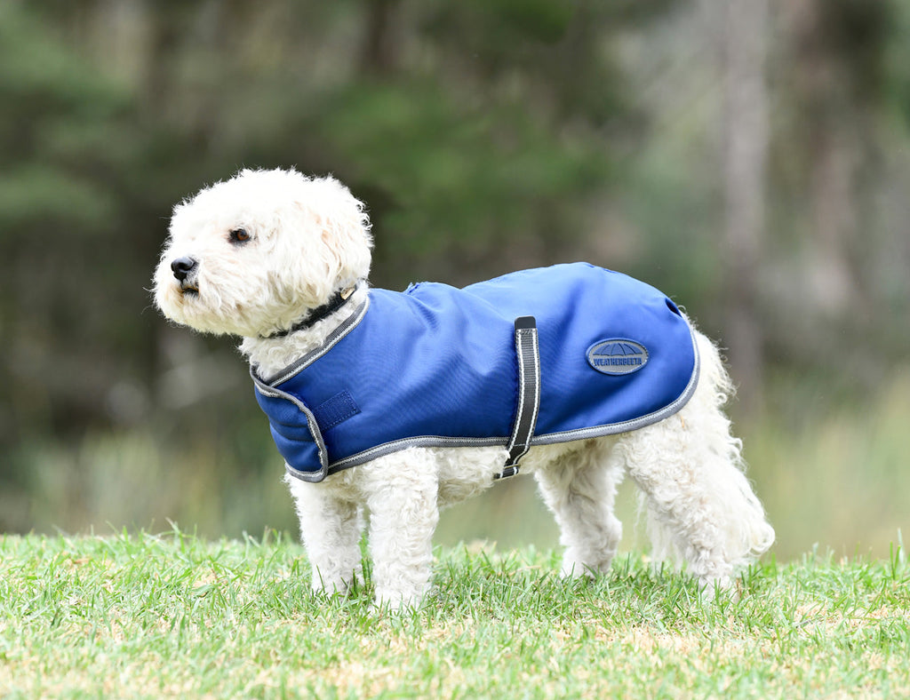 WeatherBeeta ComFiTec Windbreaker Free Dog Coat