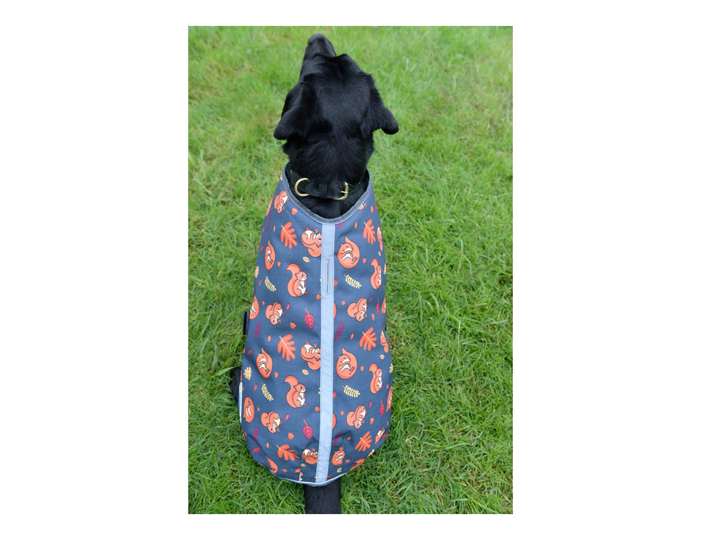 WeatherBeeta ComFiTec Premier Free Parka Dog Coat Medium