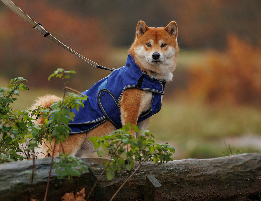 WeatherBeeta ComFiTec Premier Free Duo Deluxe Parka Dog Coat