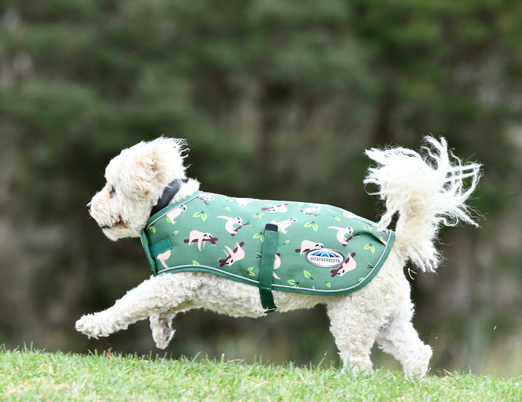 WeatherBeeta ComFiTec Premier Free Parka Dog Coat Medium