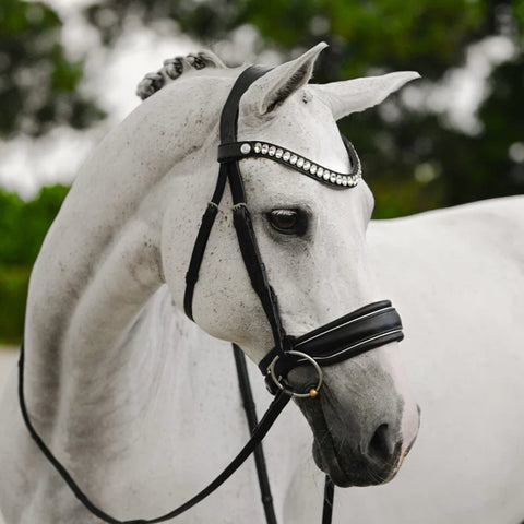 Diva bridle (cavesson)