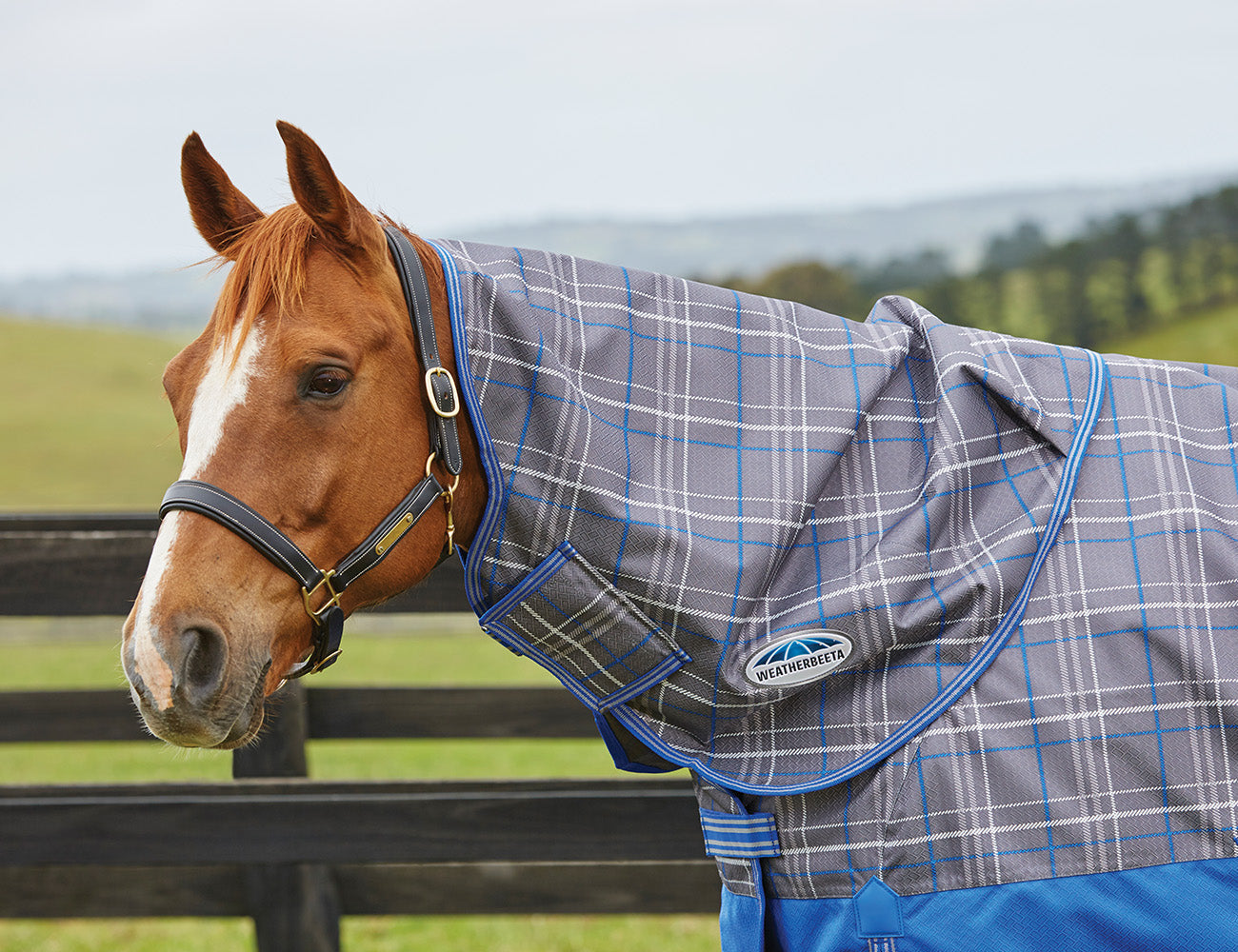 WeatherBeeta ComFiTec Premier Free Neck Rug Medium