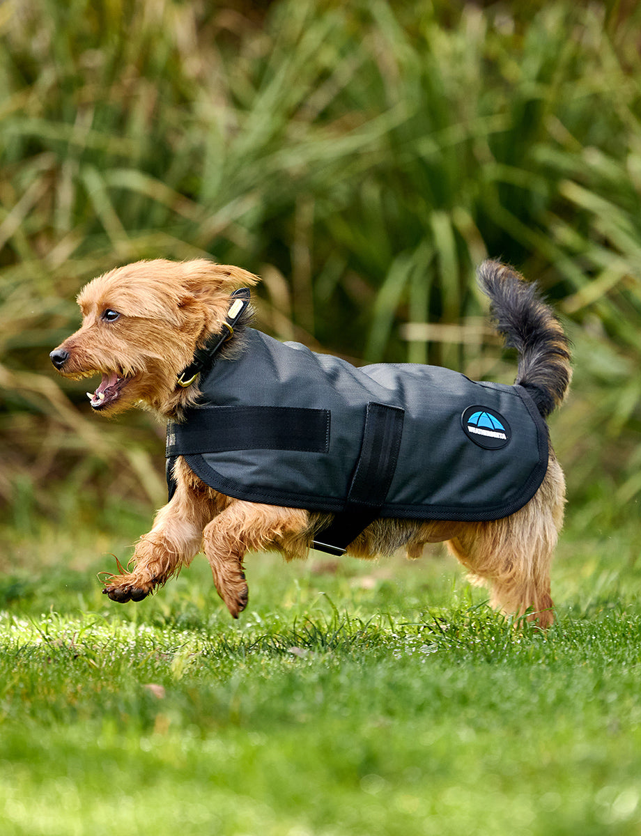 WeatherBeeta ComFiTec Classic Waterproof Dog Coat