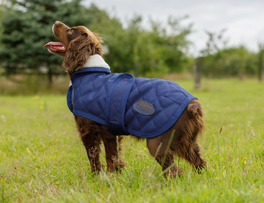 WeatherBeeta ComFiTec Deluxe Diamond Quilt Dog Coat