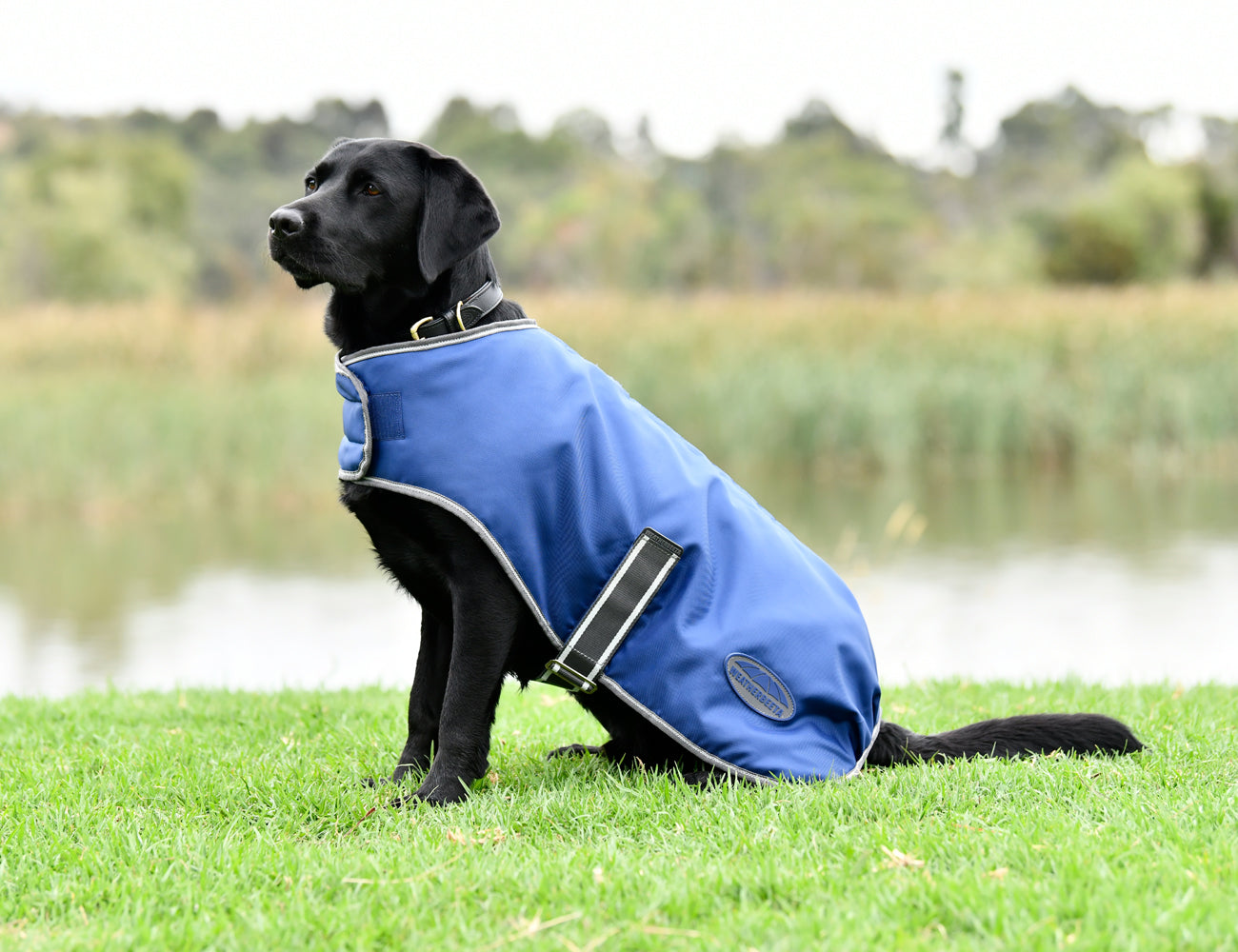 WeatherBeeta ComFiTec Windbreaker Free Dog Coat