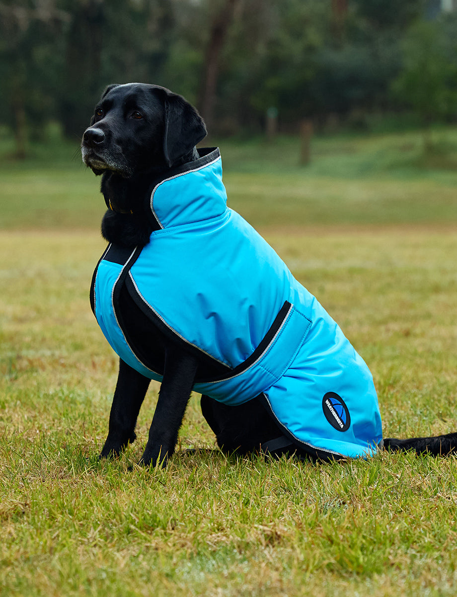 WeatherBeeta ComFiTec Reflective 300D Deluxe Showerproof Dog Coat