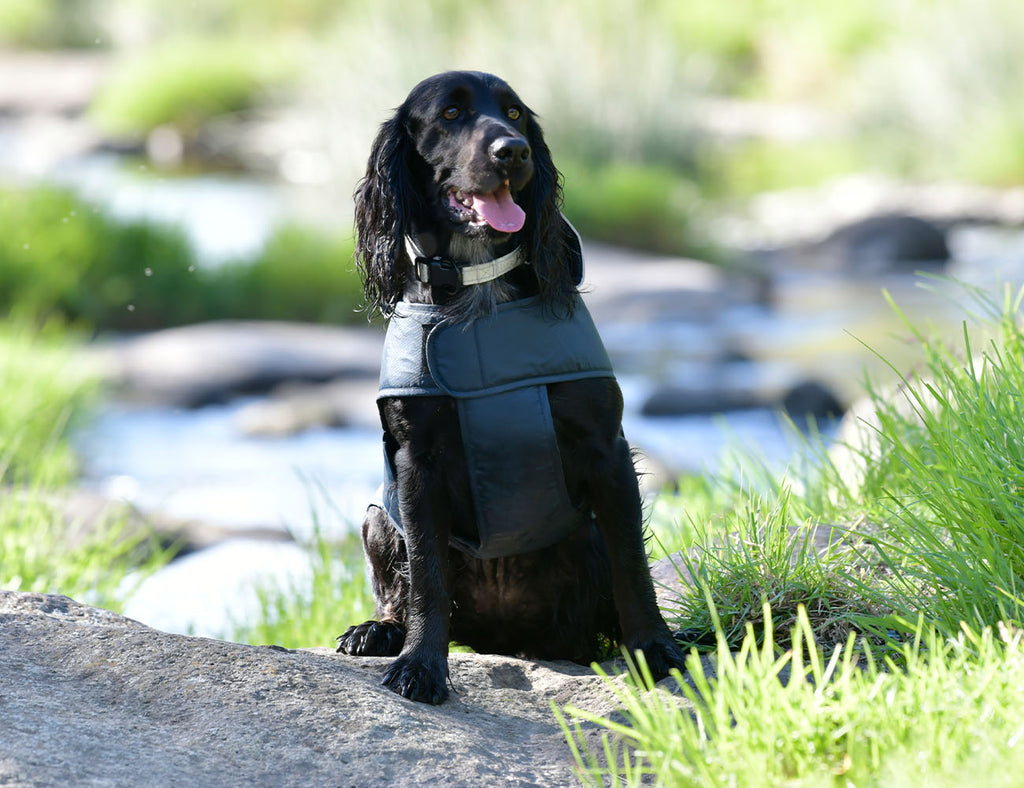 WeatherBeeta Explorer Lite Dog Coat