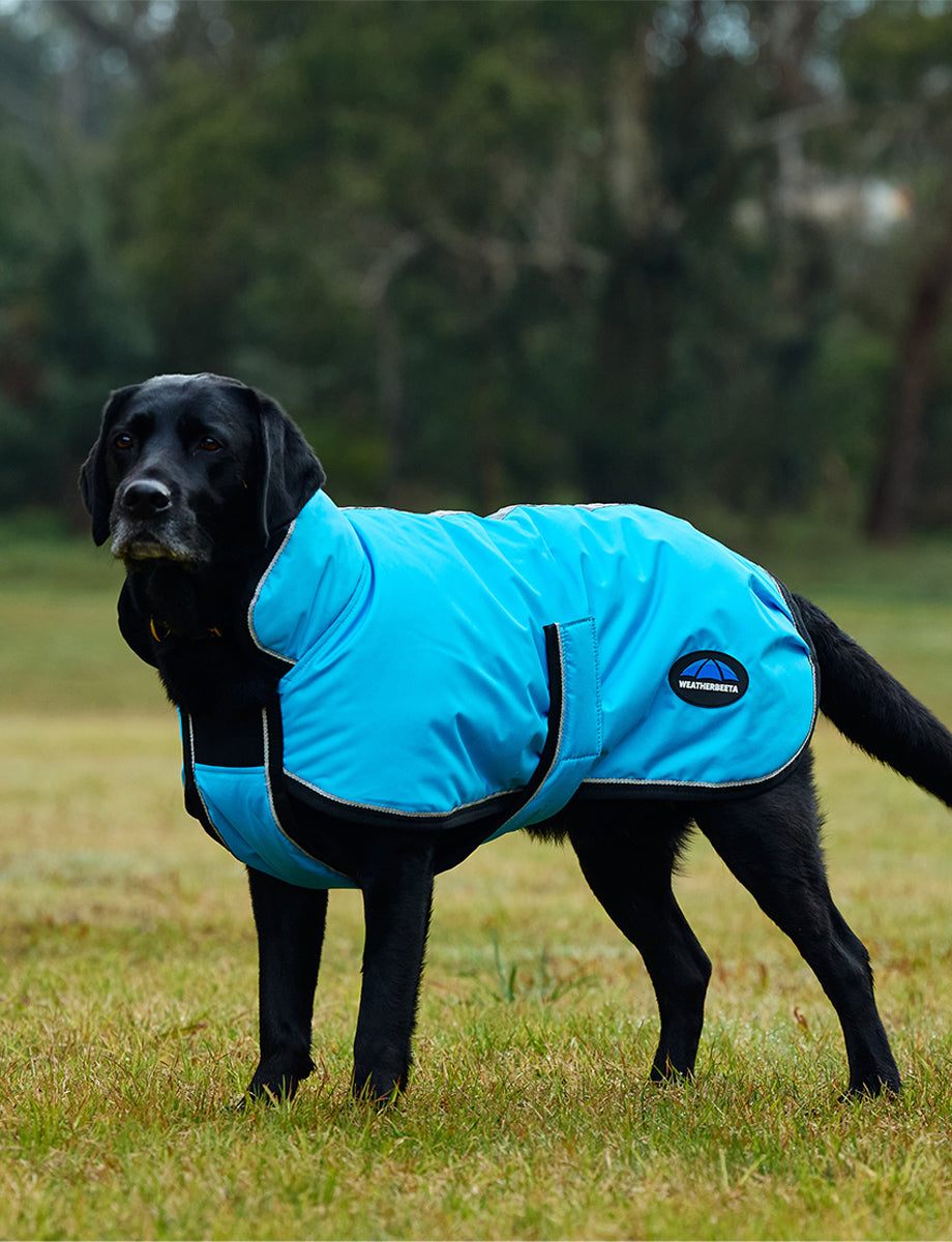 WeatherBeeta ComFiTec Reflective 300D Deluxe Showerproof Dog Coat