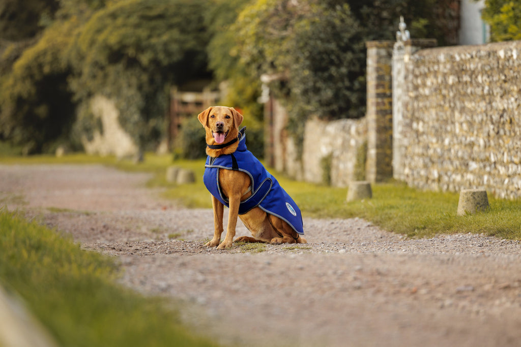 WeatherBeeta ComFiTec Premier Free Parka Deluxe Dog Coat Medium