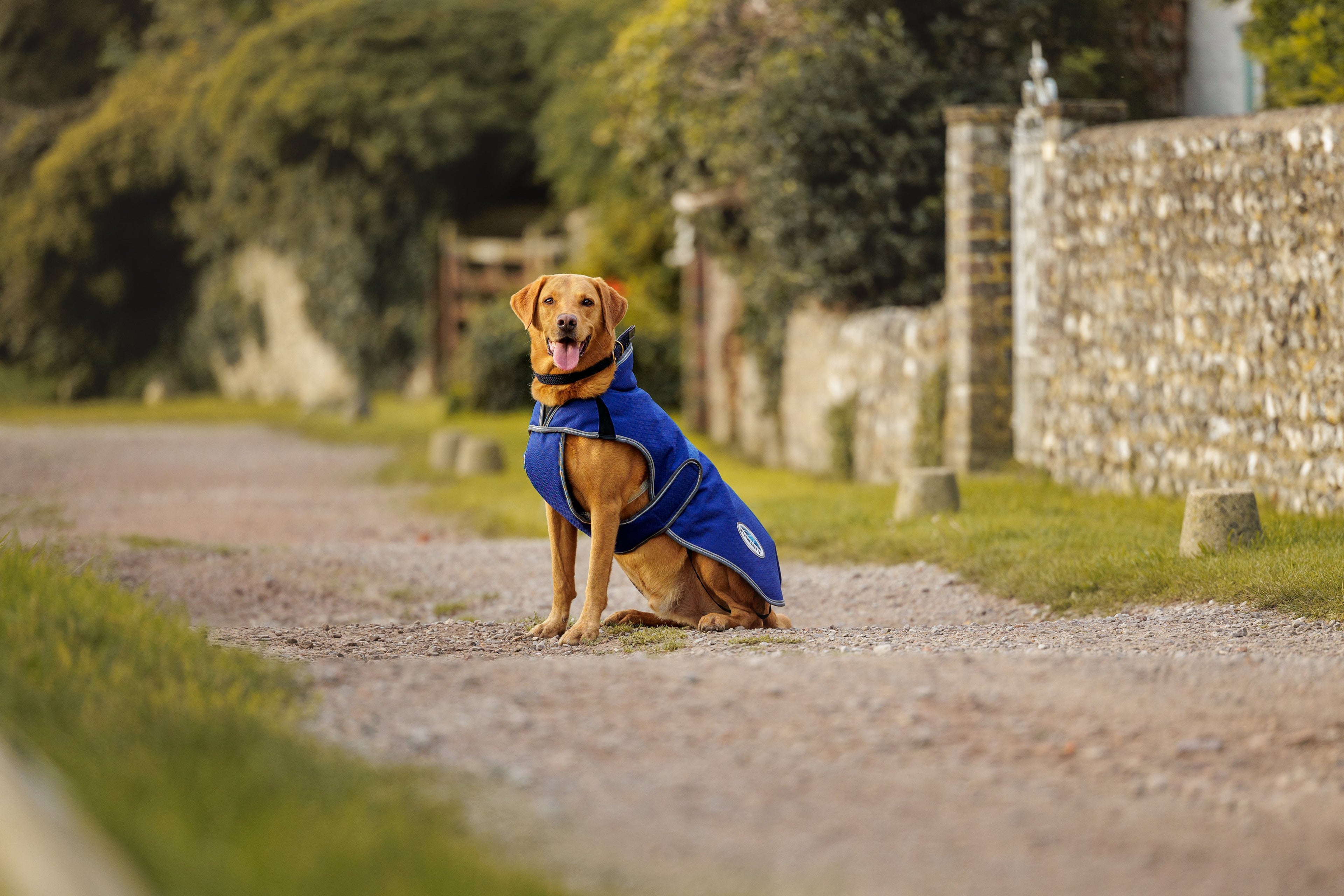 WeatherBeeta ComFiTec Premier Free Parka Deluxe Dog Coat Medium
