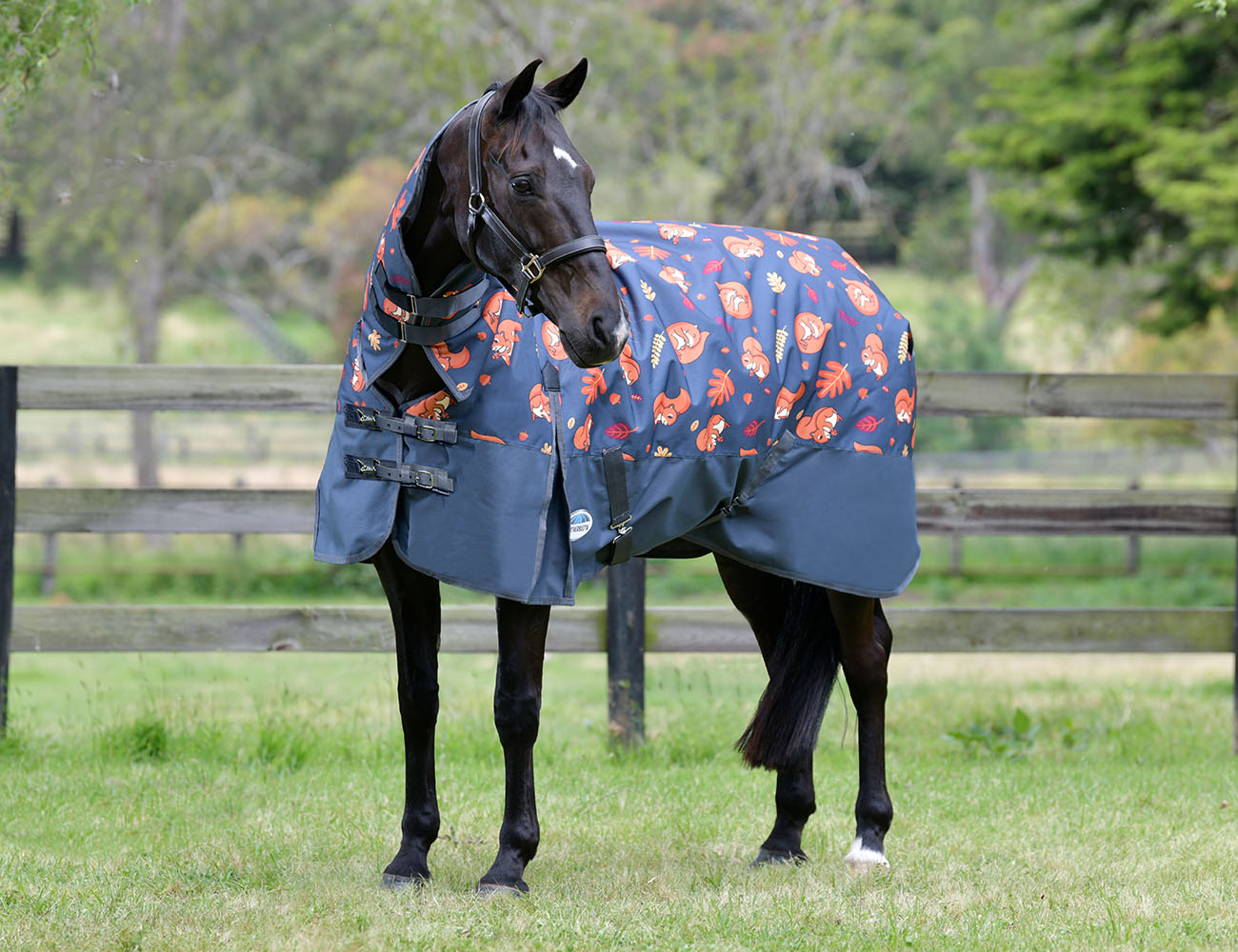 WeatherBeeta ComFiTec Essential Combo Neck Medium
