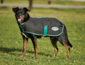 WeatherBeeta Green-Tec 900D Dog Coat Medium