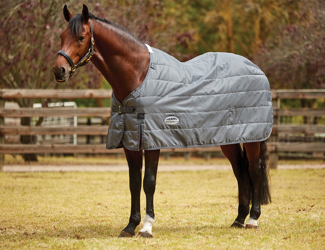 WeatherBeeta ComFiTec Liner Medium
