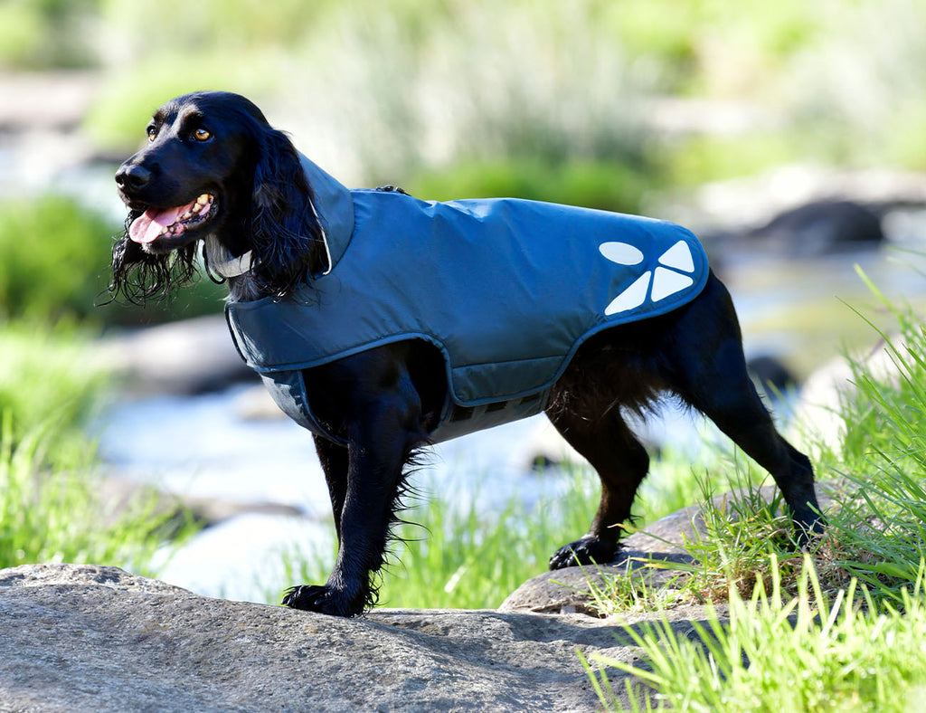 WeatherBeeta Explorer Lite Dog Coat