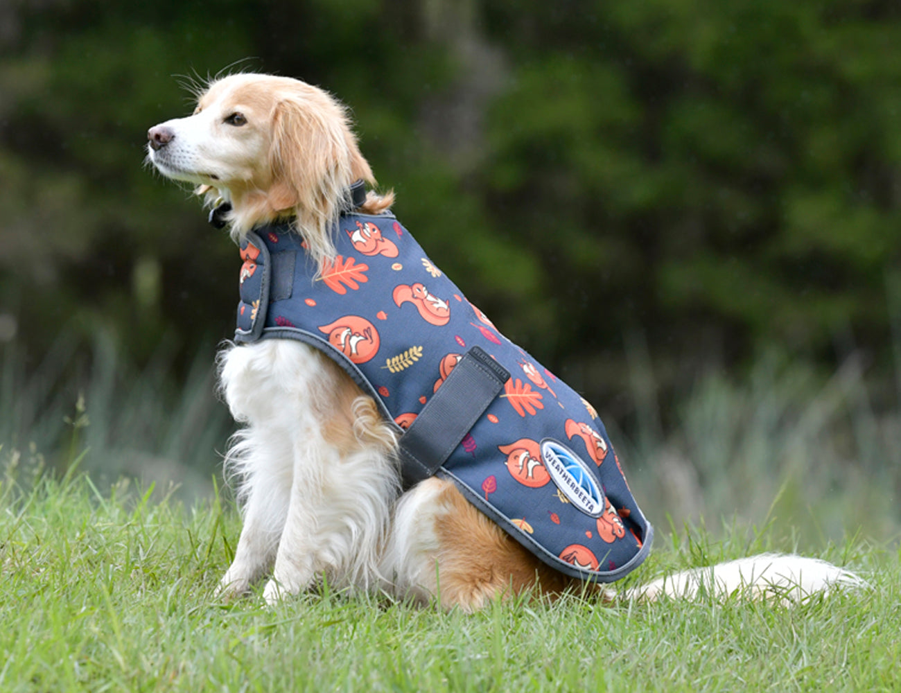 WeatherBeeta ComFiTec Premier Free Parka Dog Coat Medium
