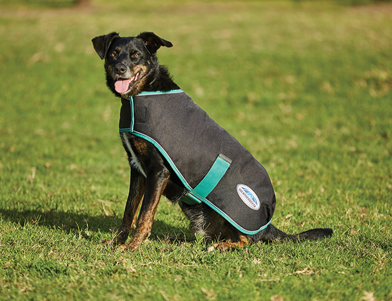 WeatherBeeta Green-Tec 900D Dog Coat Medium