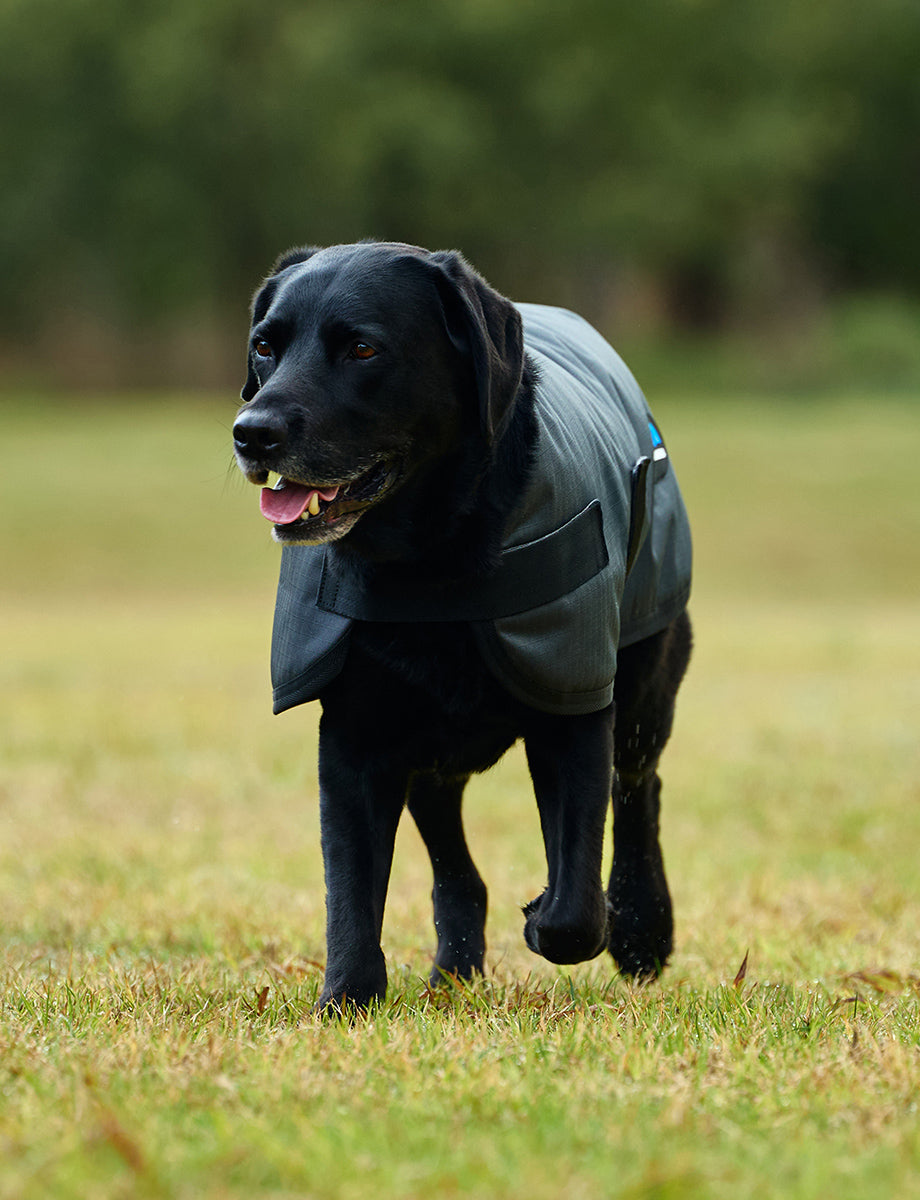 WeatherBeeta ComFiTec Classic Waterproof Dog Coat