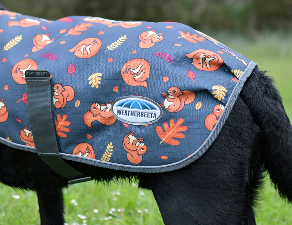 WeatherBeeta ComFiTec Premier Free Parka Dog Coat Medium