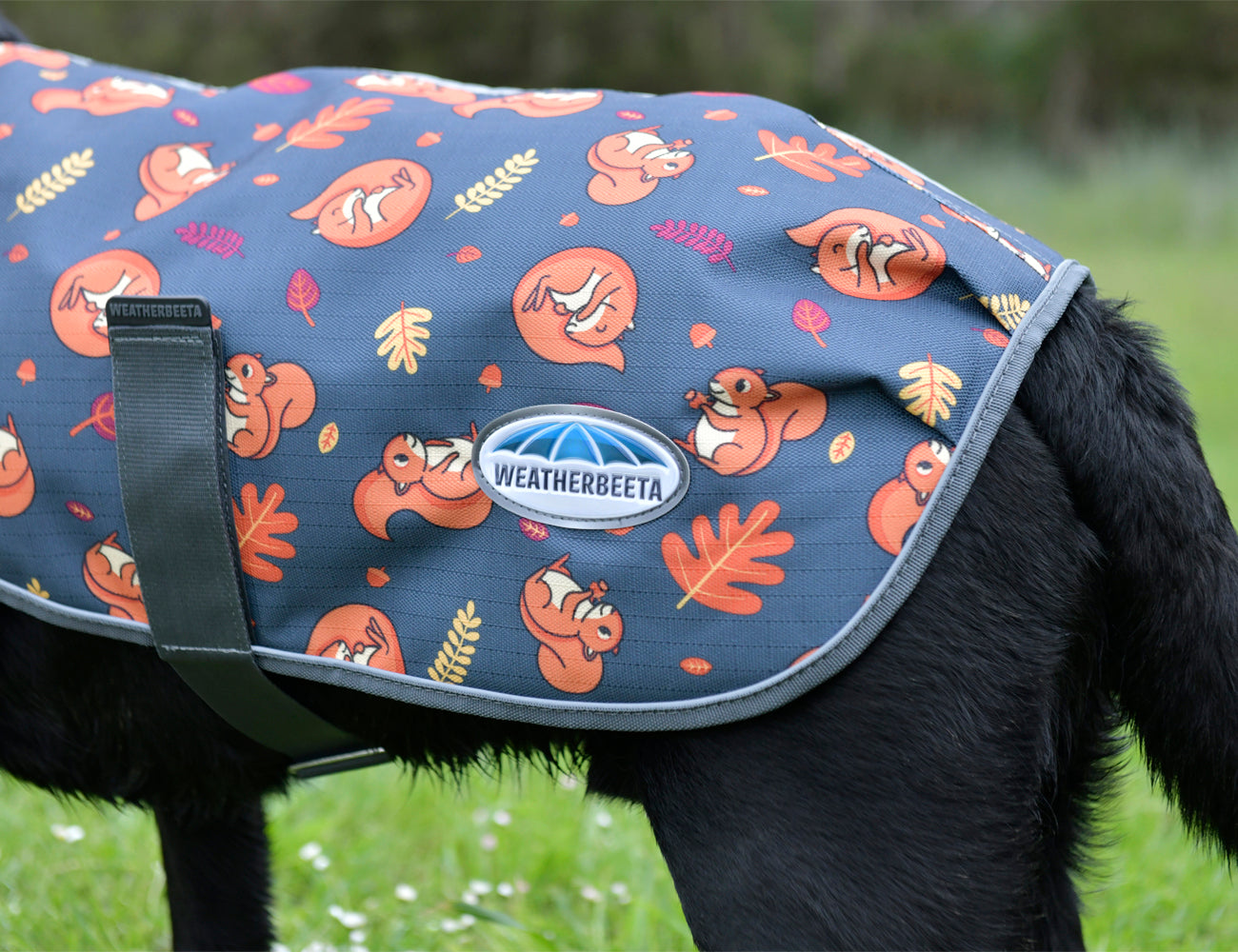 WeatherBeeta ComFiTec Premier Free Parka Dog Coat Medium