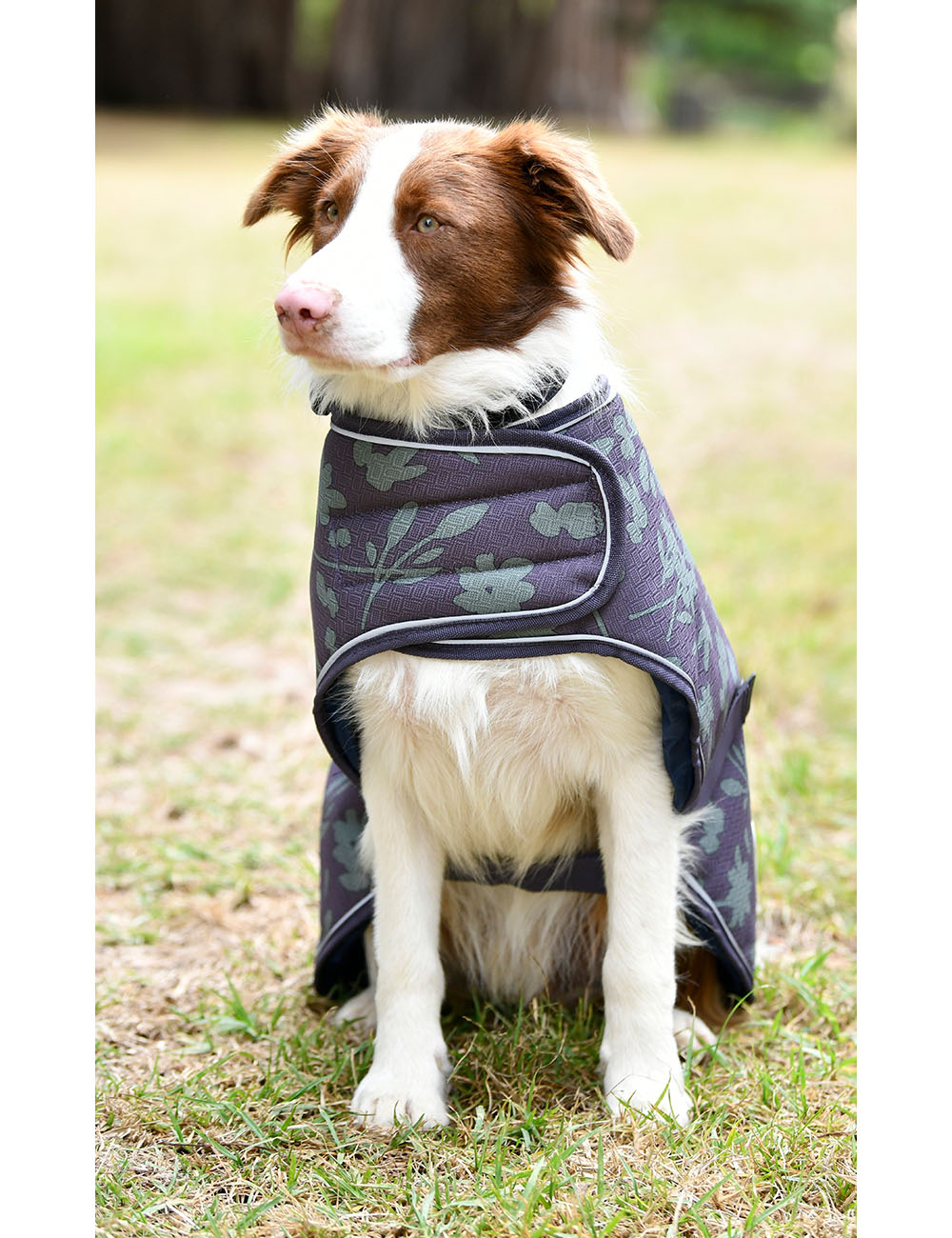 WeatherBeeta ComFiTec Premier Free Parka Dog Coat Medium