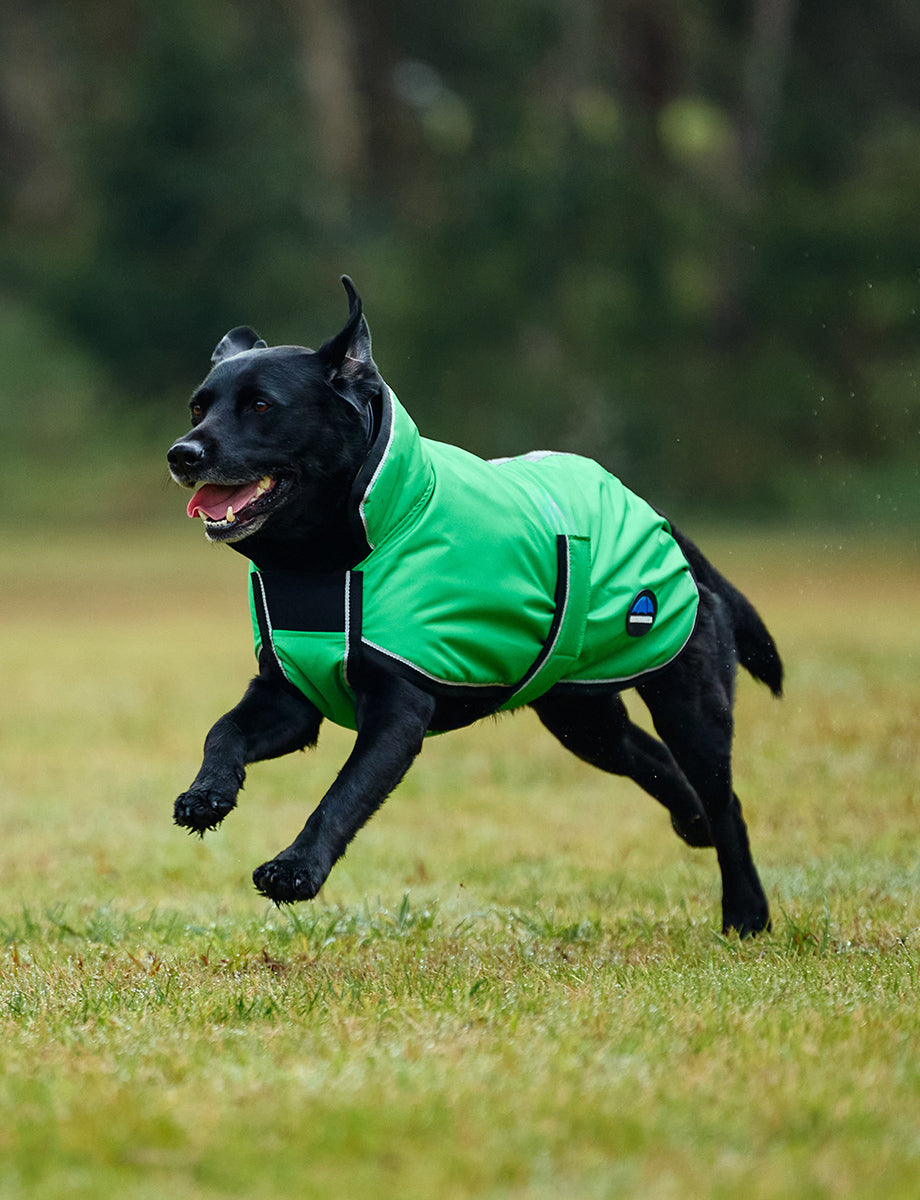 WeatherBeeta ComFiTec Reflective 300D Deluxe Showerproof Dog Coat