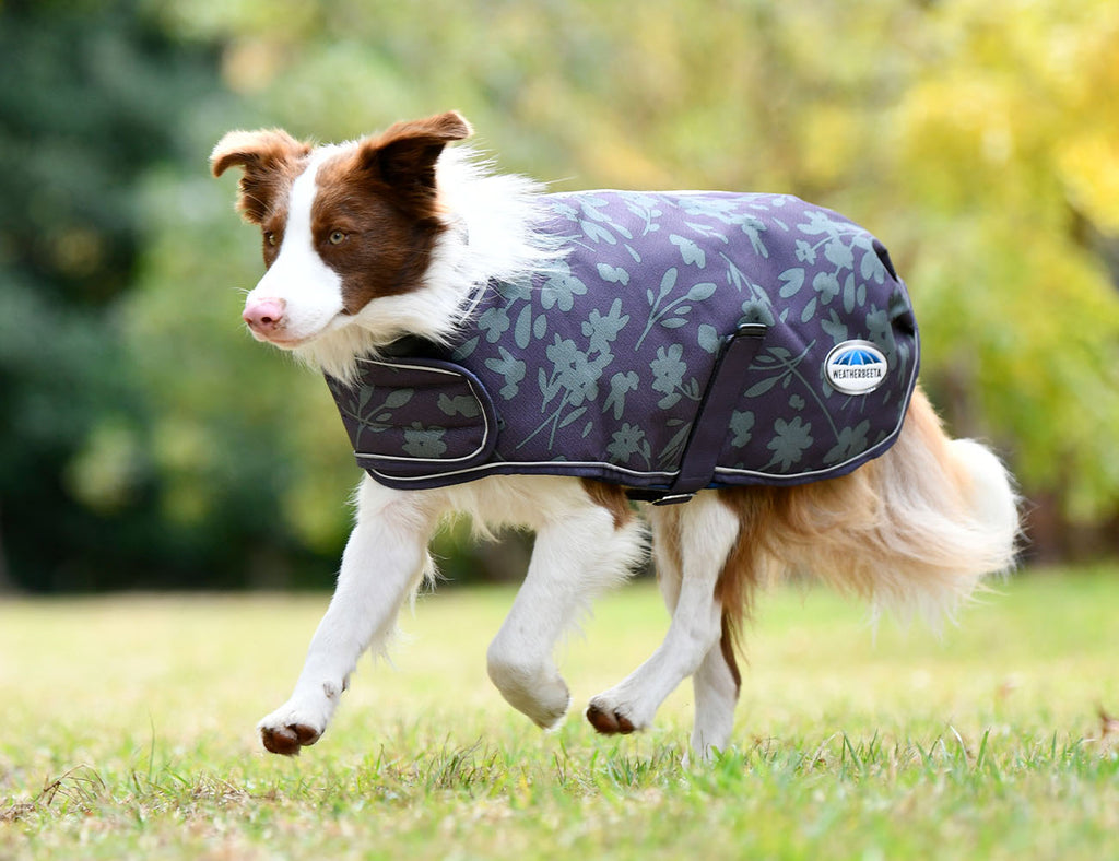 WeatherBeeta ComFiTec Premier Free Parka Dog Coat Medium