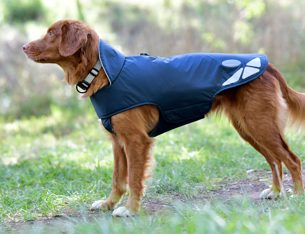 WeatherBeeta Explorer Lite Dog Coat