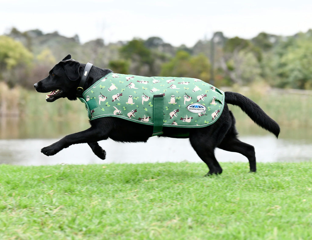 WeatherBeeta ComFiTec Premier Free Parka Dog Coat Medium