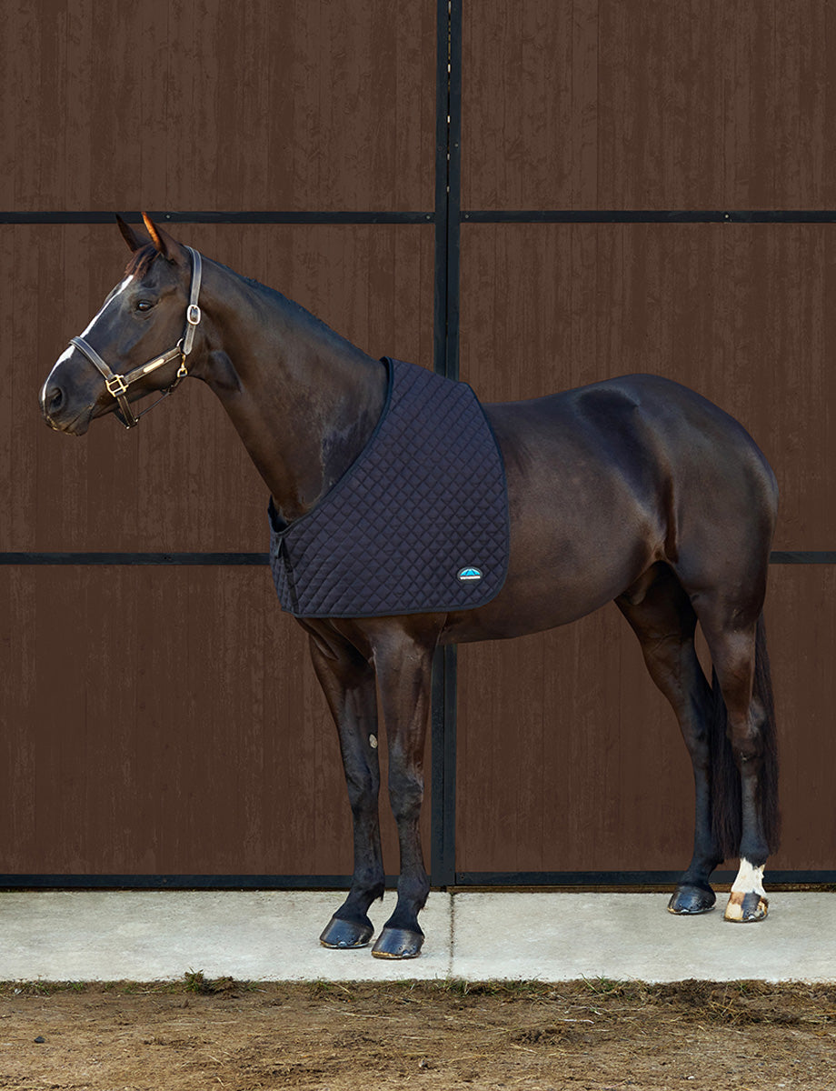 WeatherBeeta Deluxe Shoulder Guard