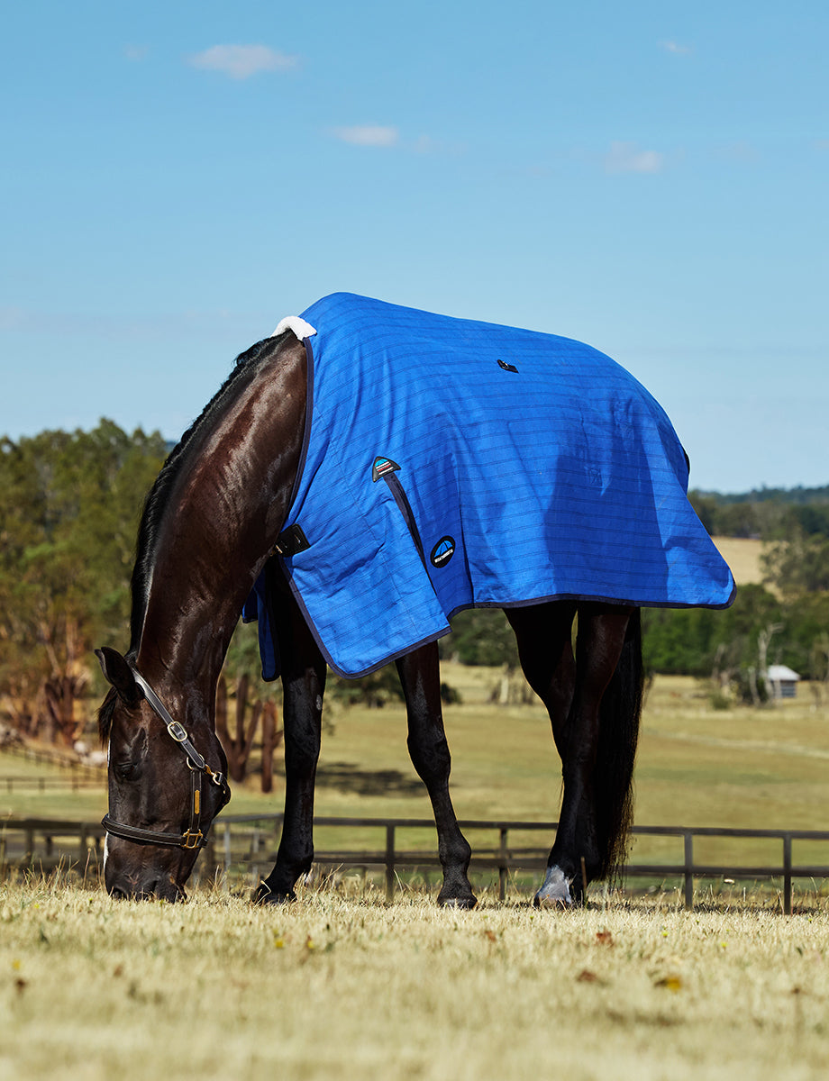 WeatherBeeta Lined Canvas