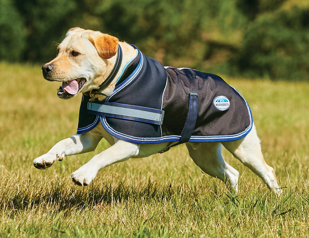 WeatherBeeta Parka 1680D Dog Coat