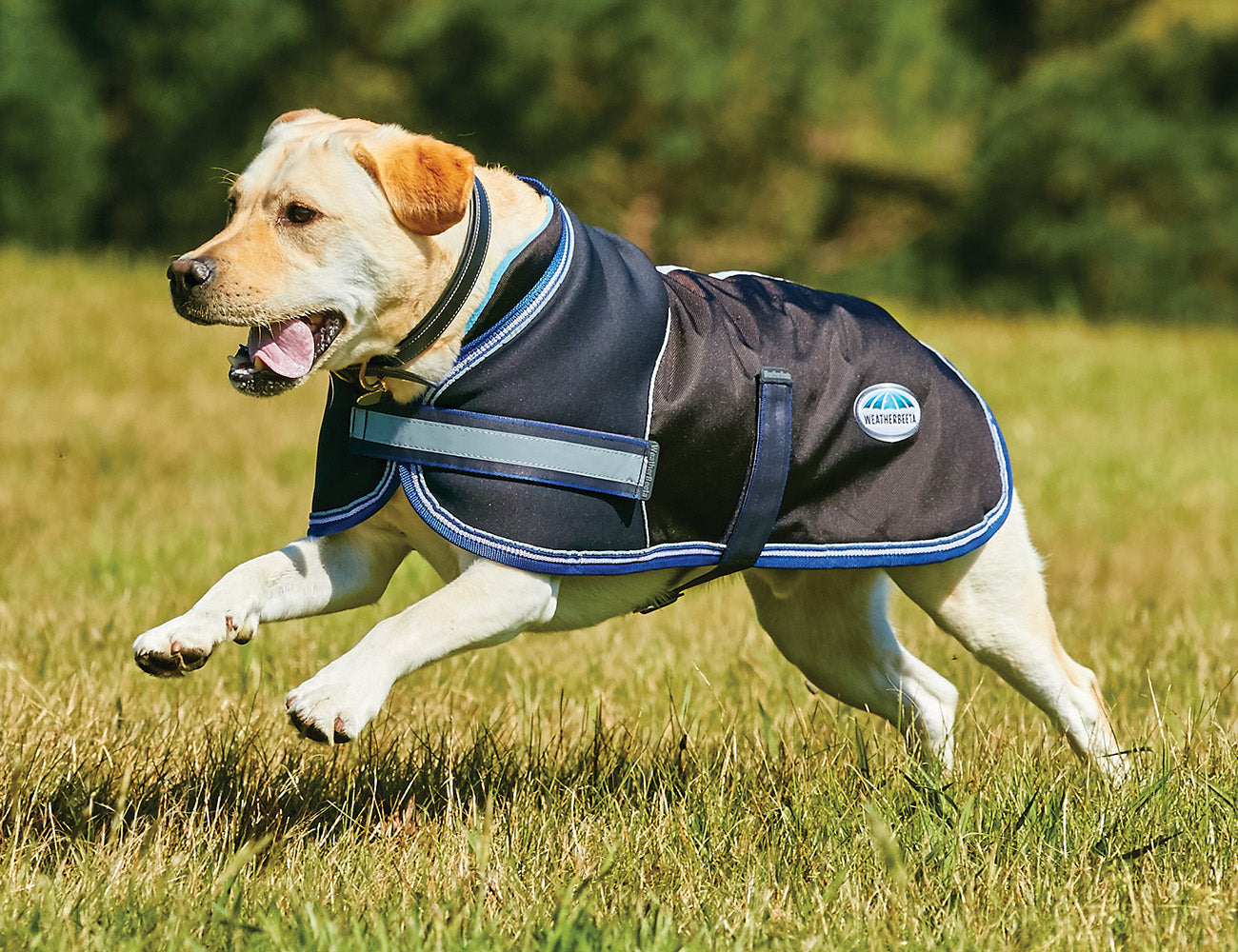 WeatherBeeta Parka 1680D Dog Coat