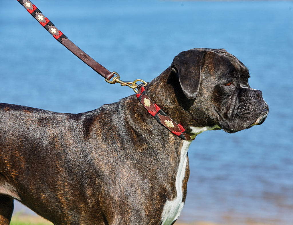 WeatherBeeta Polo Leather Dog Lead