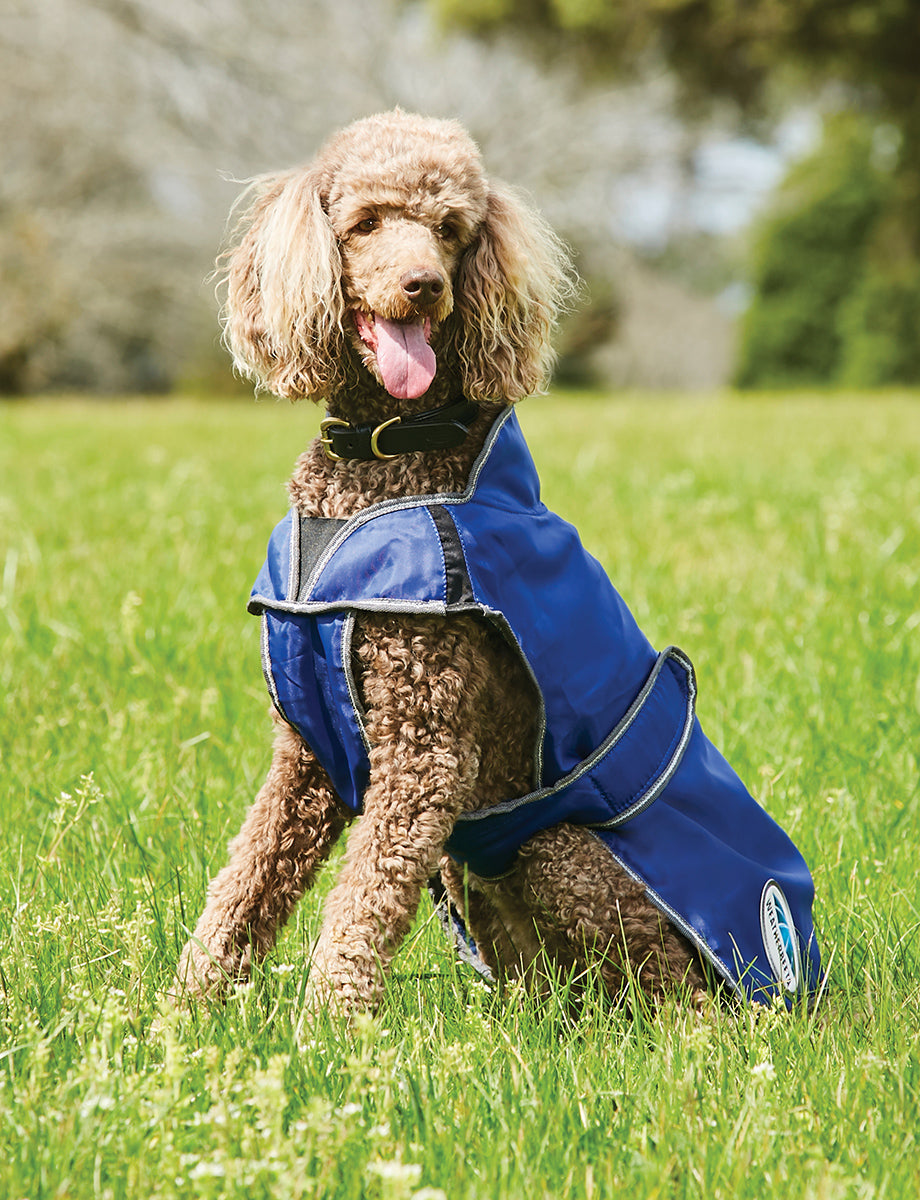 WeatherBeeta ComFiTec Windbreaker Free Deluxe Dog Coat