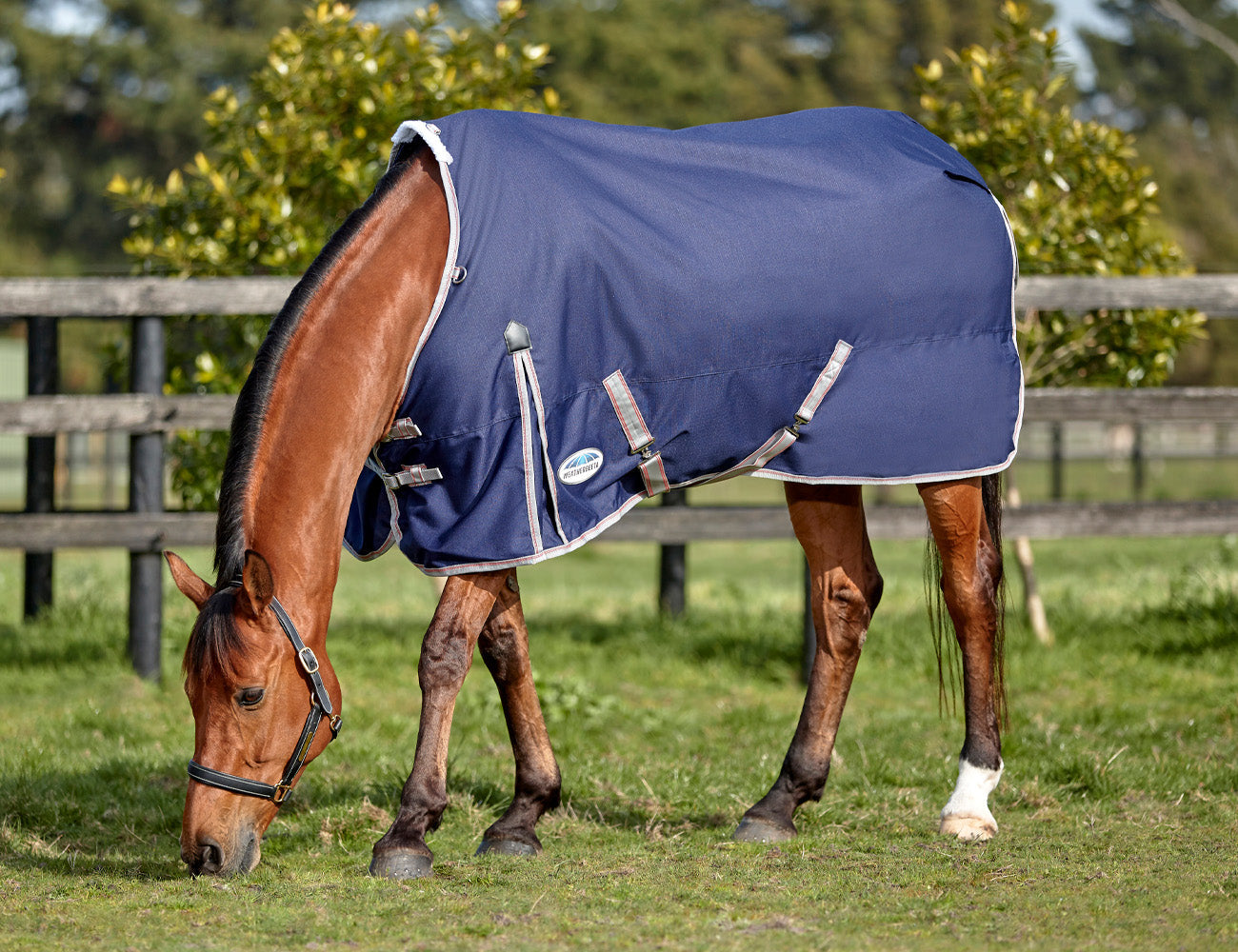 WeatherBeeta ComFiTec Essential Standard Neck Lite