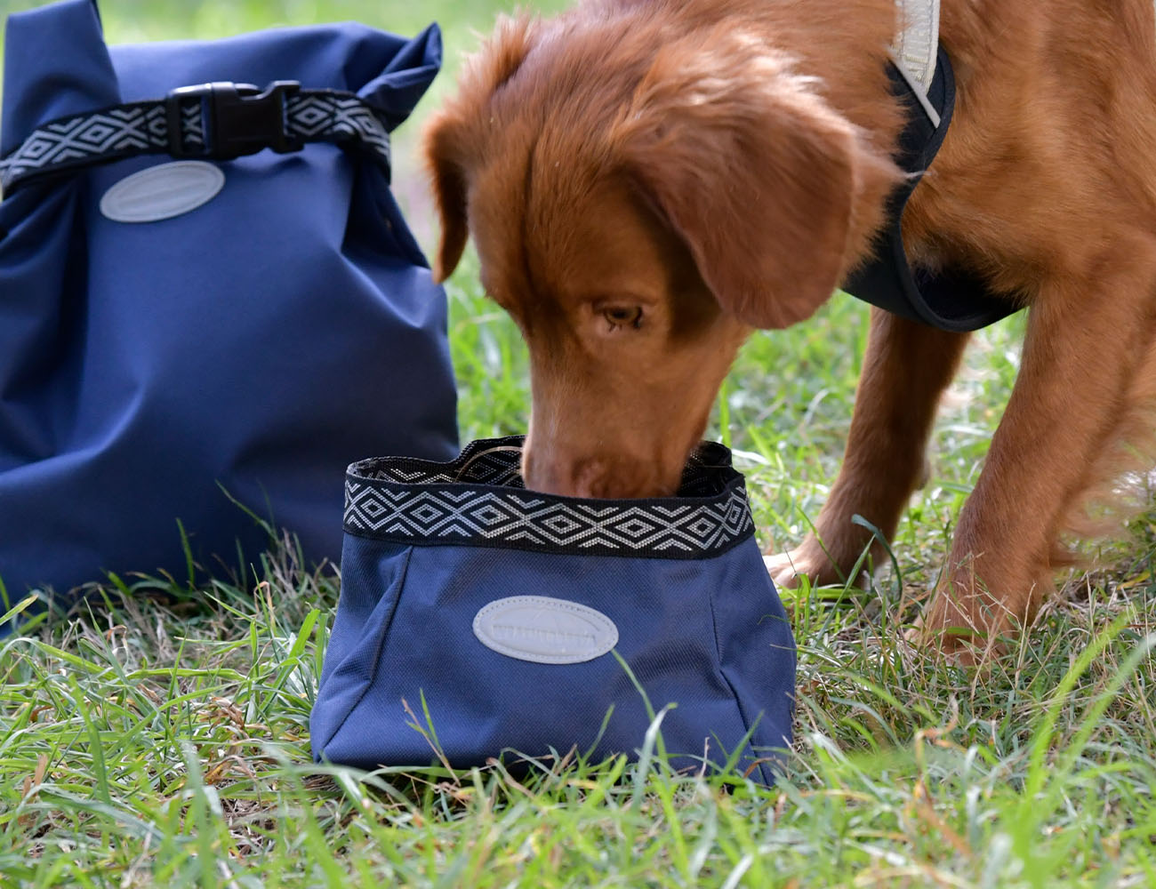 WeatherBeeta Explorer Dog Water/Feed Bowl