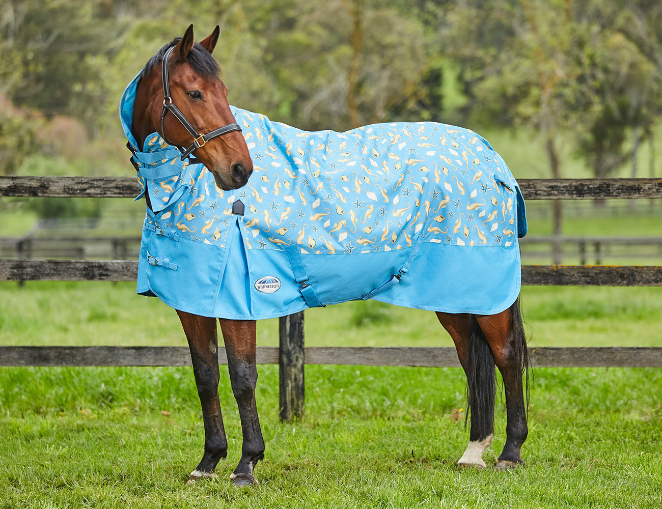 WeatherBeeta ComFiTec Essential Combo Neck Lite Plus
