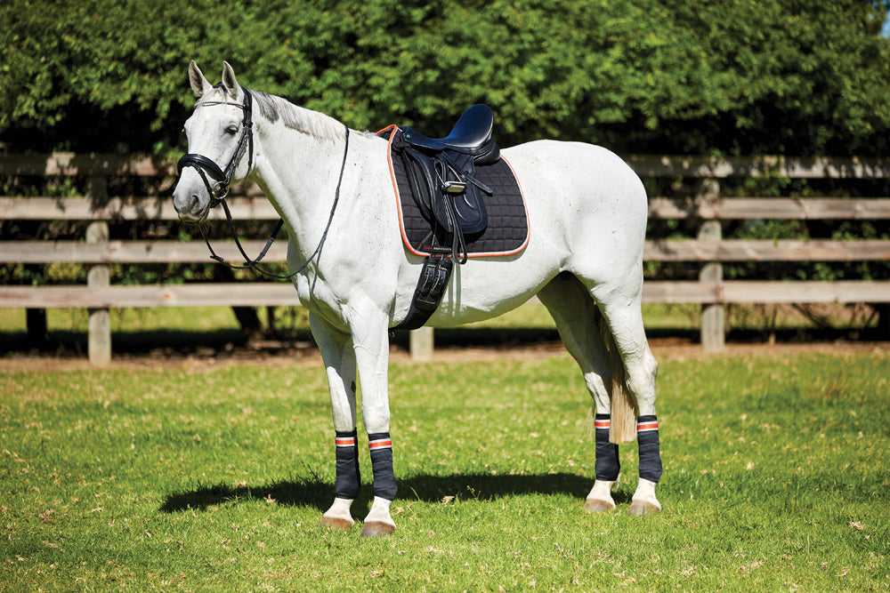 WeatherBeeta Therapy-Tec Dressage Saddle Pad