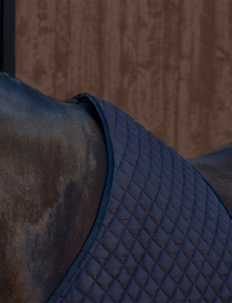 WeatherBeeta Deluxe Shoulder Guard