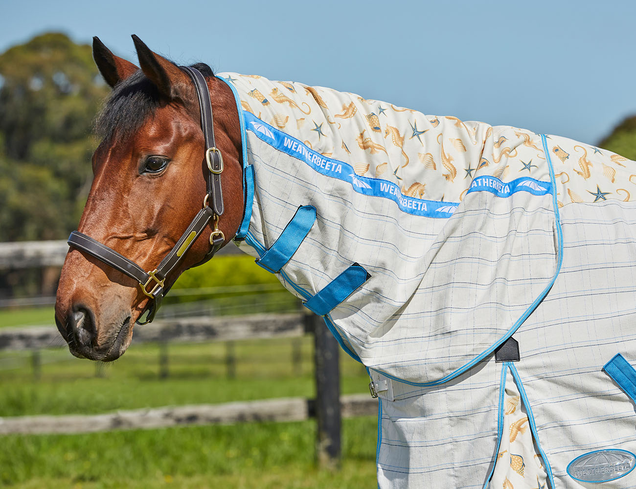 WeatherBeeta Cotton Summer Sheet Combo Neck