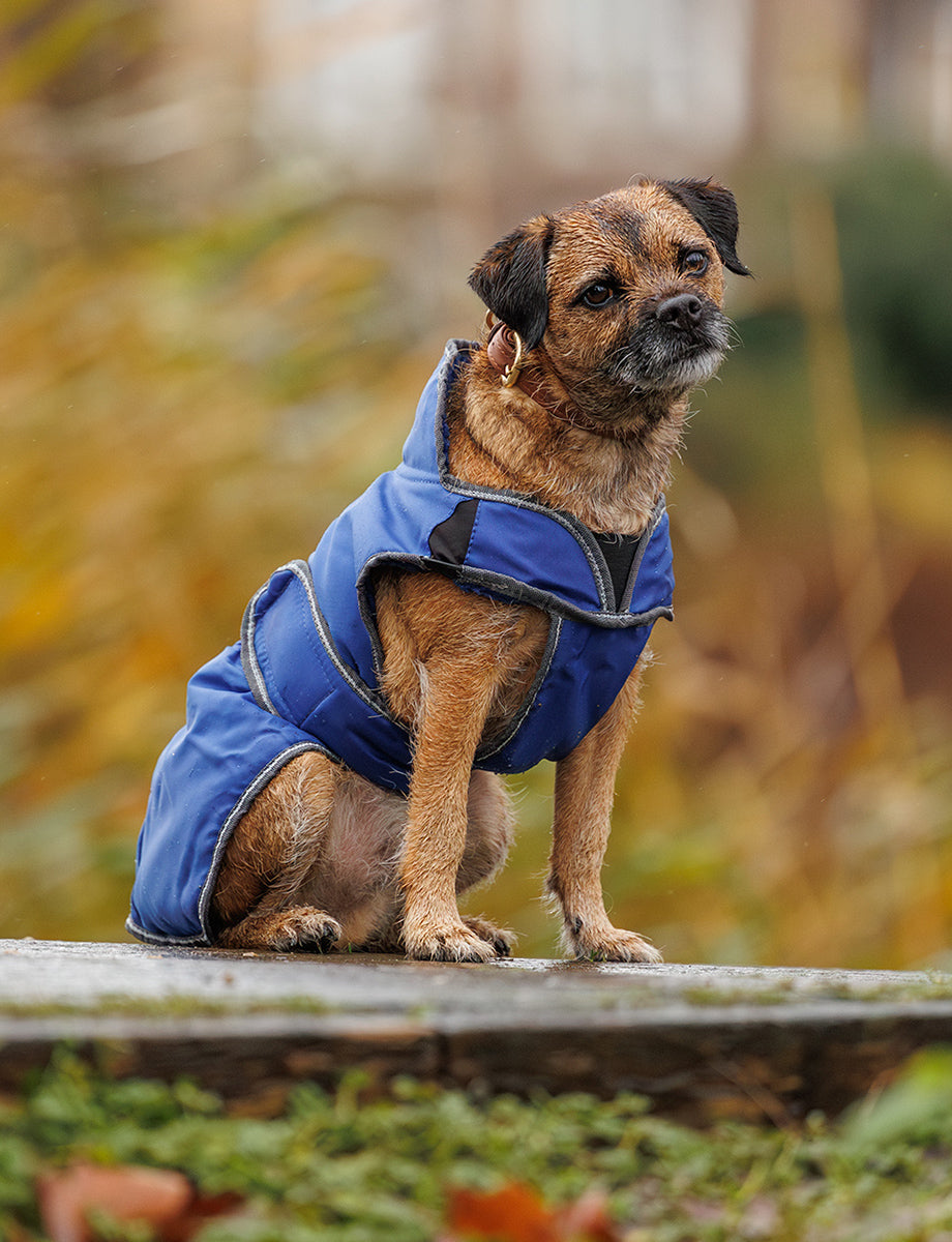 WeatherBeeta ComFiTec Windbreaker Free Deluxe Dog Coat