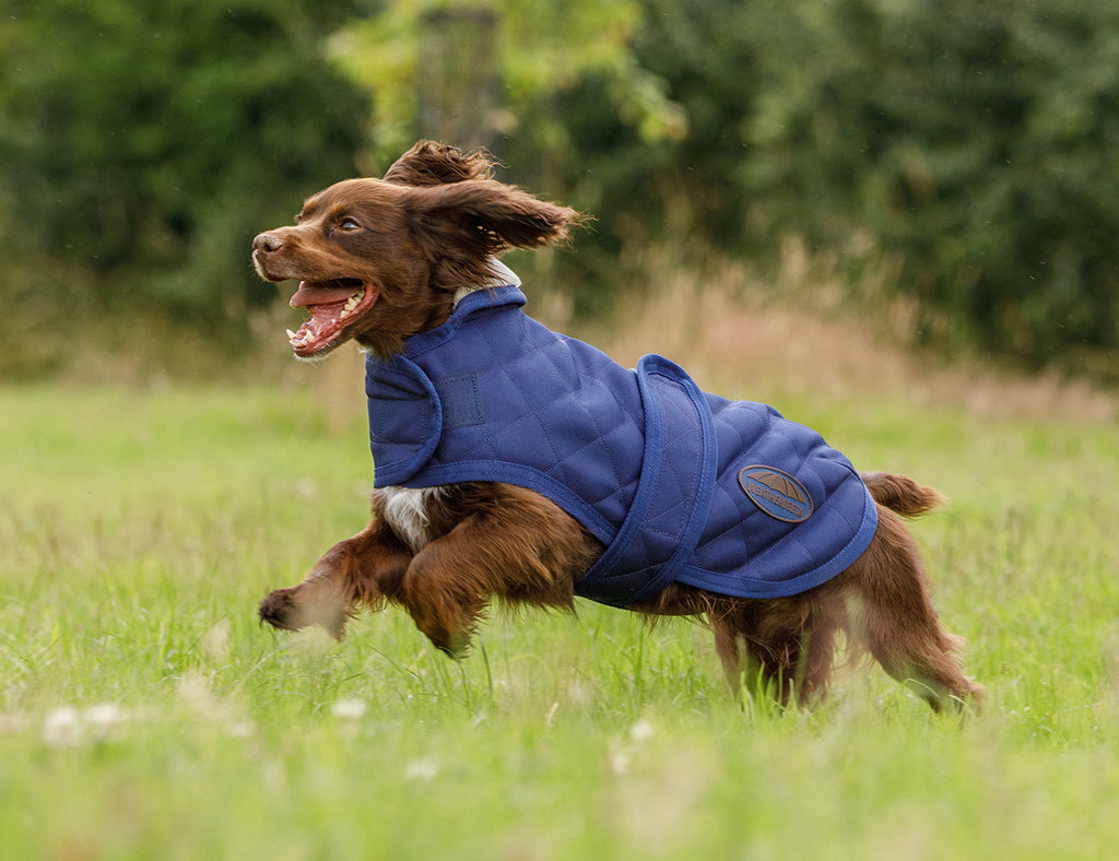 WeatherBeeta ComFiTec Deluxe Diamond Quilt Dog Coat
