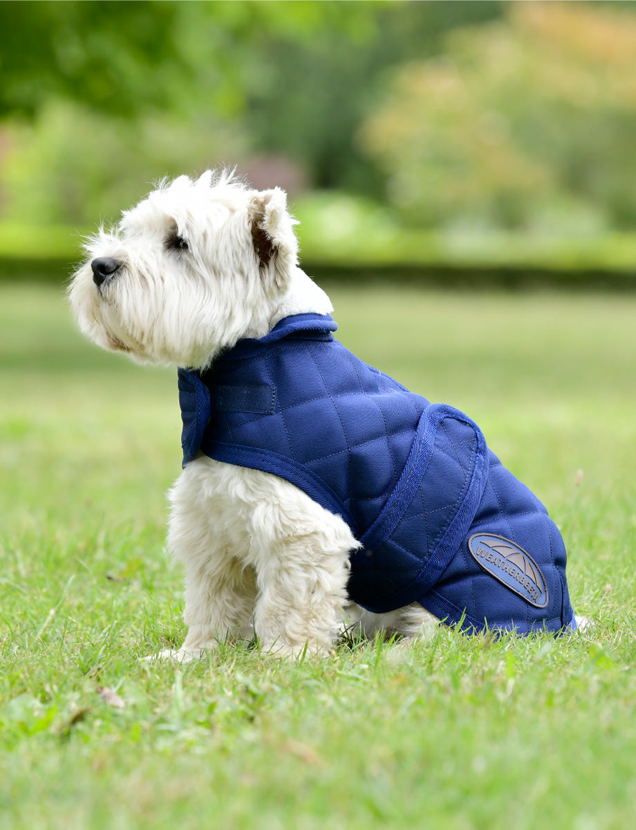 WeatherBeeta ComFiTec Deluxe Diamond Quilt Dog Coat