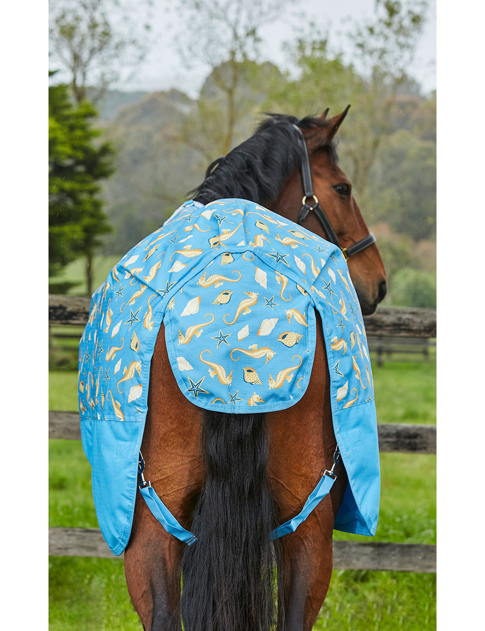 WeatherBeeta ComFiTec Essential Combo Neck Lite