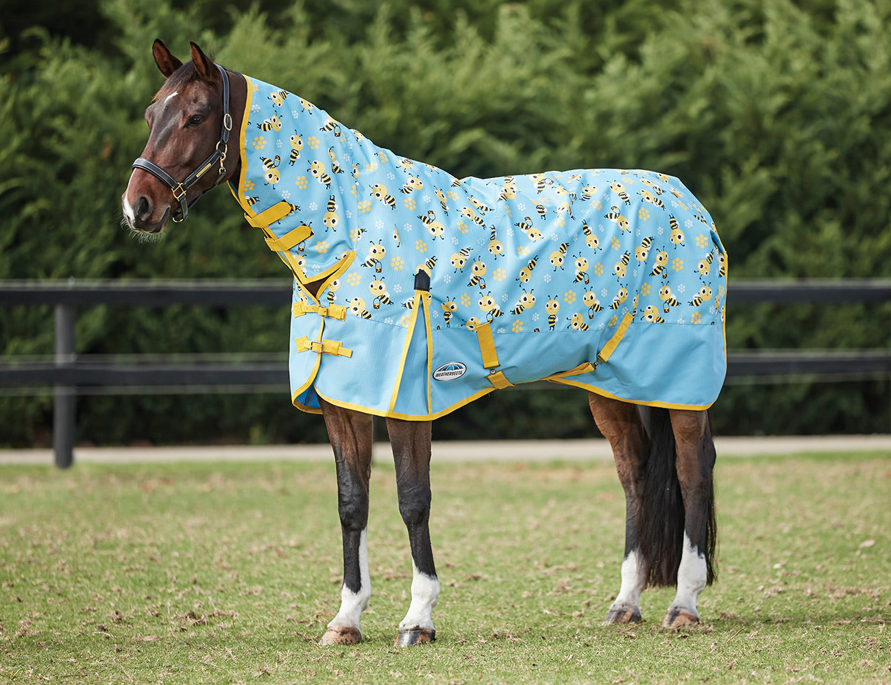WeatherBeeta ComFiTec Essential Combo Neck Lite